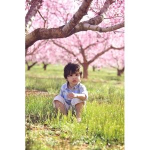 Burberry Boys top size 3a 3 3t 2t 2a 2